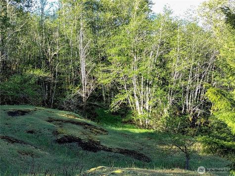 1513 State Route 8 Mccleary WA 98557