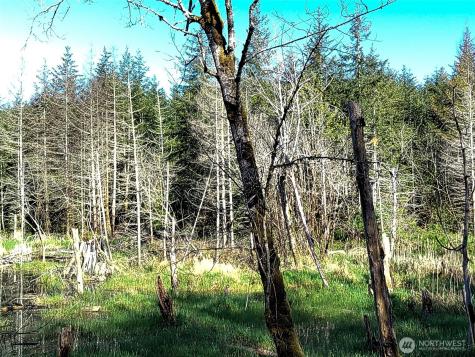 1513 State Route 8 Mccleary WA 98557