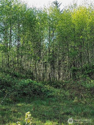 1513 State Route 8 Mccleary WA 98557