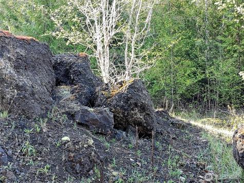 1513 State Route 8 Mccleary WA 98557