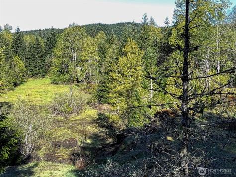 1513 State Route 8 Mccleary WA 98557