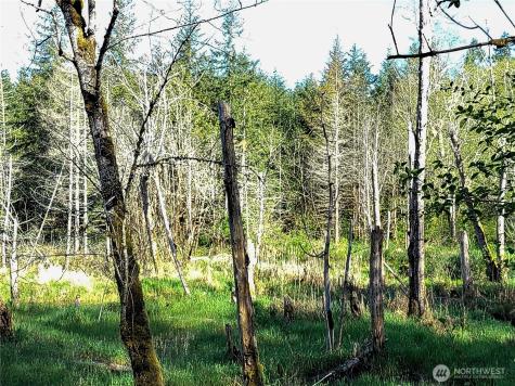 1513 State Route 8 Mccleary WA 98557