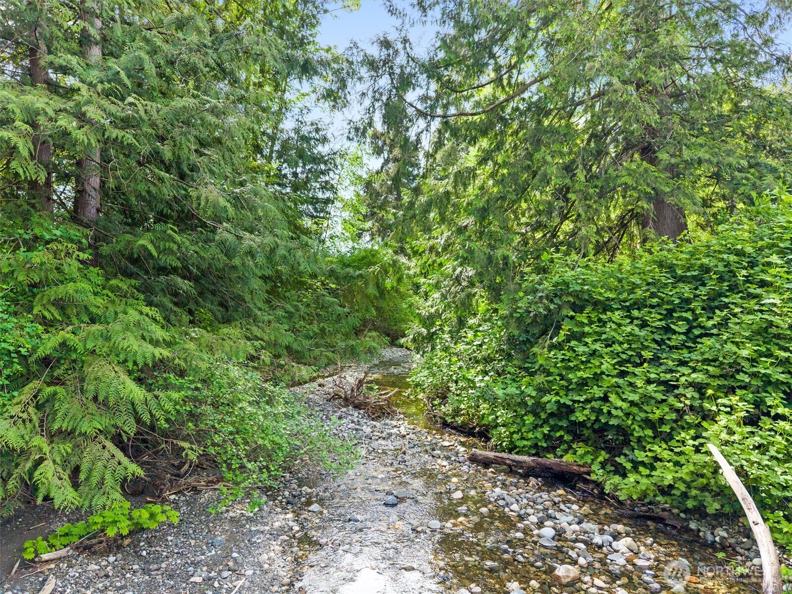 6896 Goodwin Road Everson WA 98247
