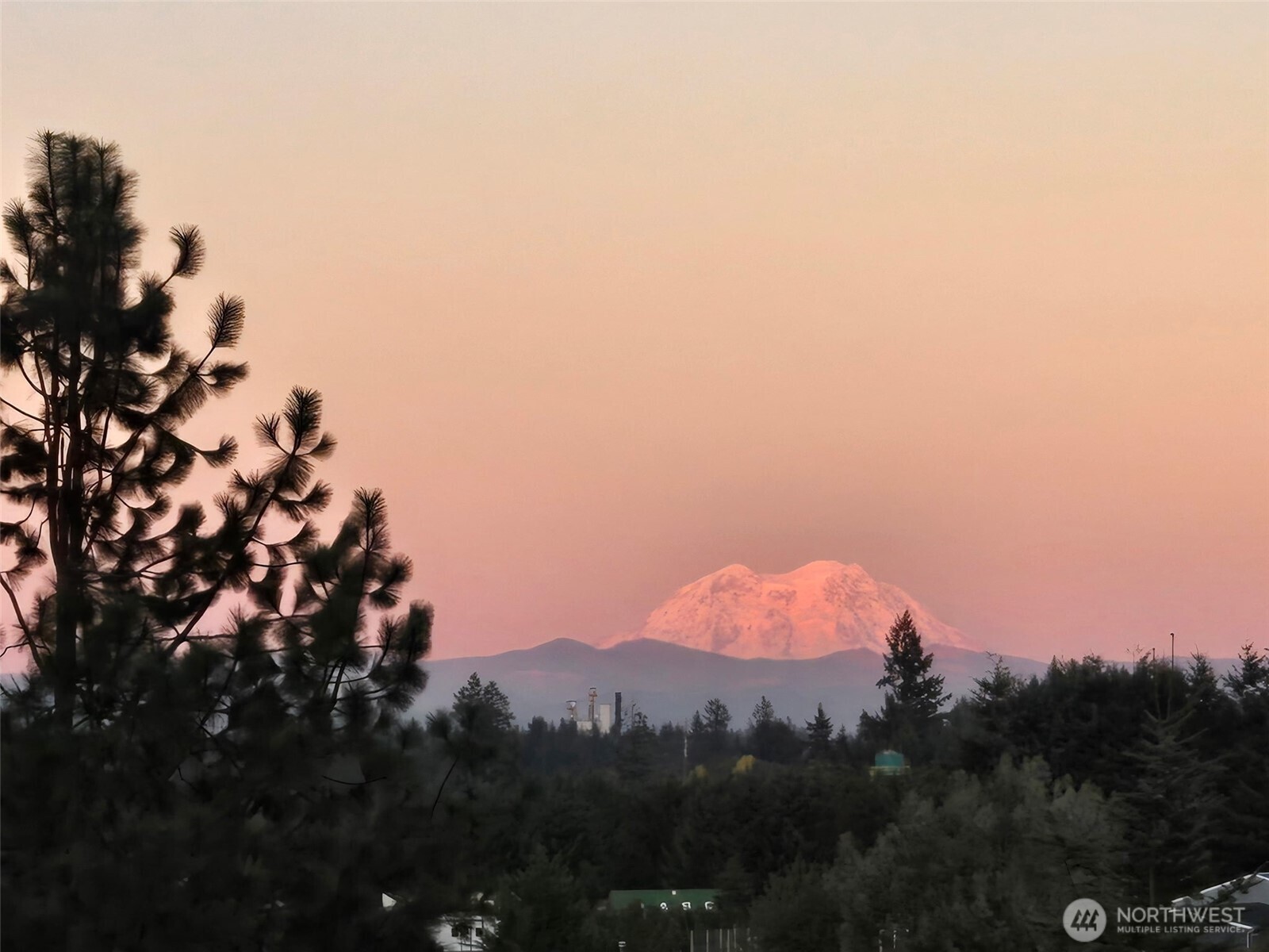 284 W Hale Road Winlock WA 98596