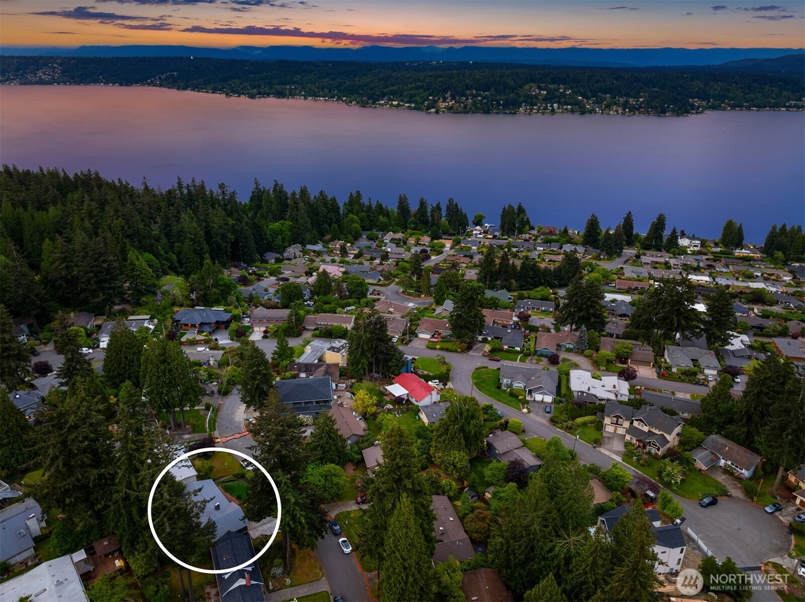 16628 SE 26th Street Bellevue WA 98008