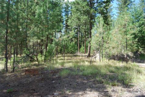 31 Summit Lake Road Tonasket WA 98855