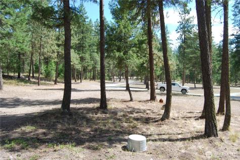 31 Summit Lake Road Tonasket WA 98855