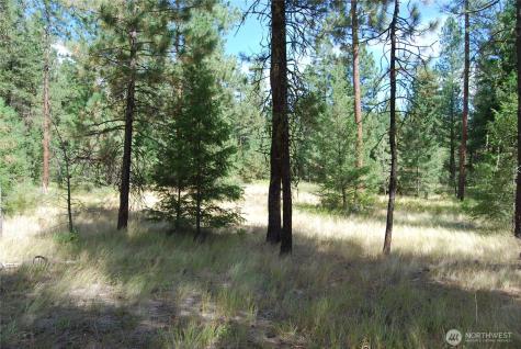 31 Summit Lake Road Tonasket WA 98855