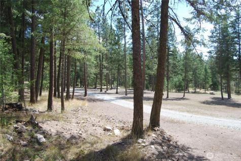 31 Summit Lake Road Tonasket WA 98855