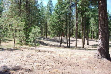 31 Summit Lake Road Tonasket WA 98855