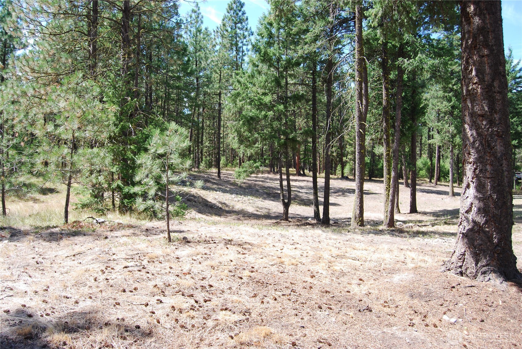 31 Summit Lake Road Tonasket WA 98855
