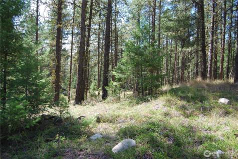 31 Summit Lake Road Tonasket WA 98855