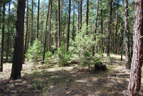 31 Summit Lake Road Tonasket WA 98855