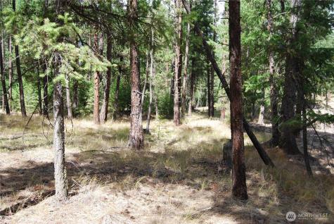 31 Summit Lake Road Tonasket WA 98855