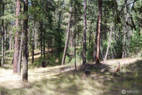 31 Summit Lake Road Tonasket WA 98855