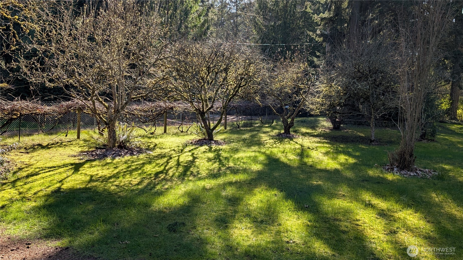 16827 41st Street E Lake Tapps WA 98391