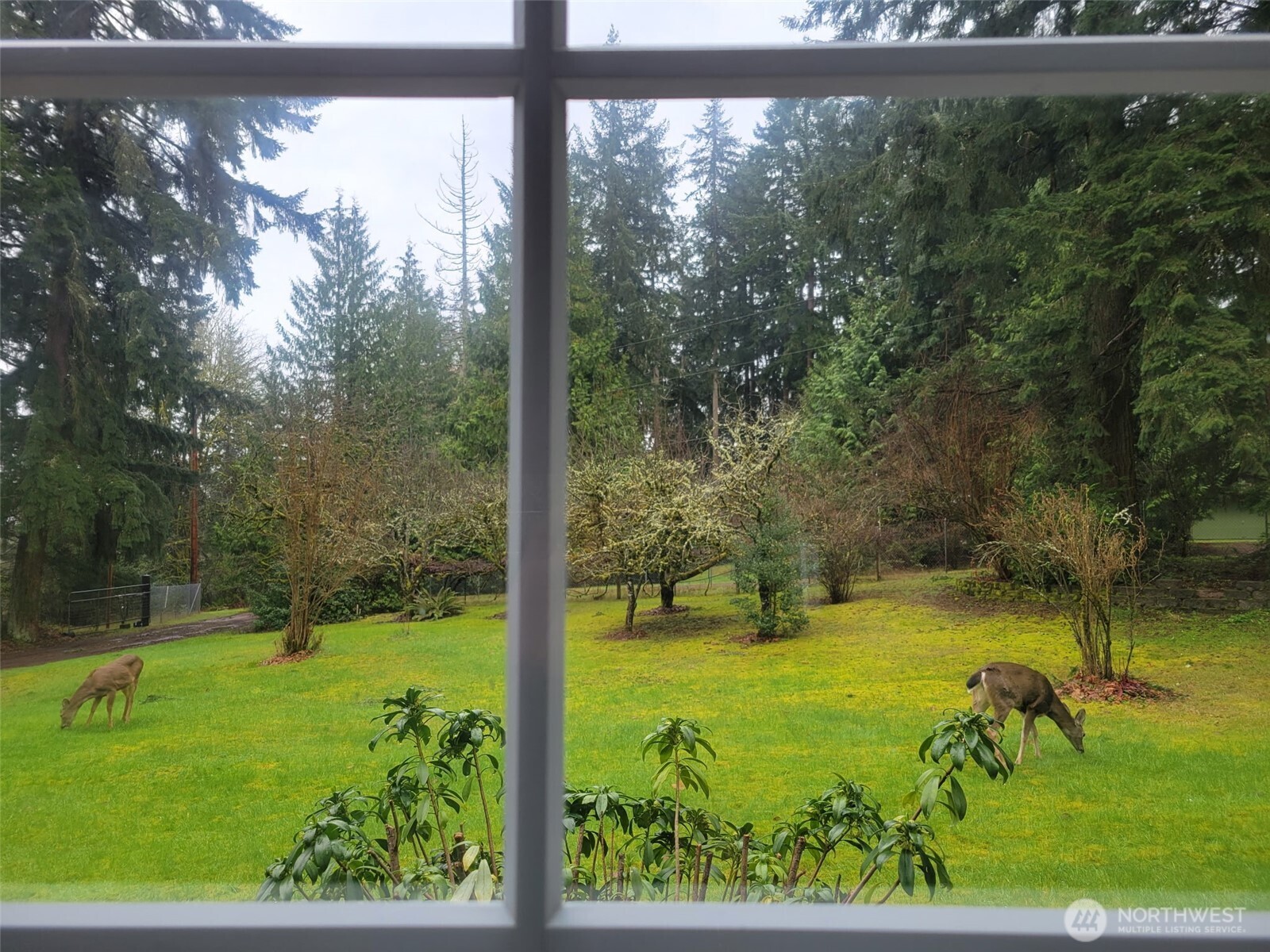 16827 41st Street E Lake Tapps WA 98391