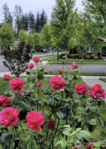 18727 145th Street E Bonney Lake WA 98391