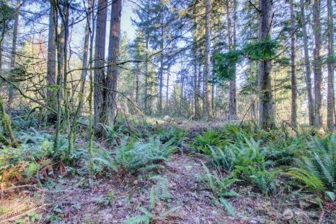 5353 Wildlife Acres Sedro Woolley WA 98284
