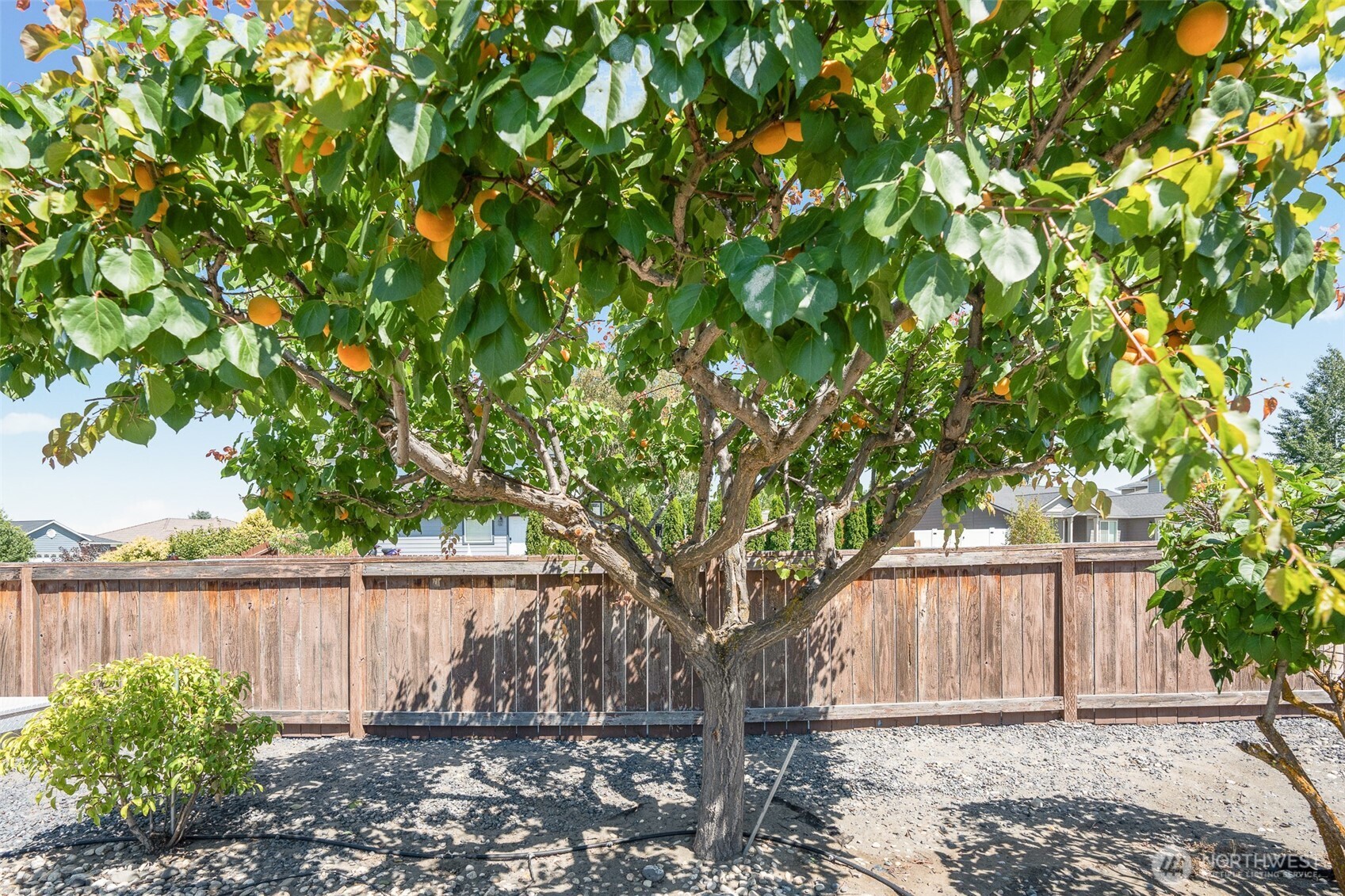 4095 W Cove West Drive Moses Lake WA 98837
