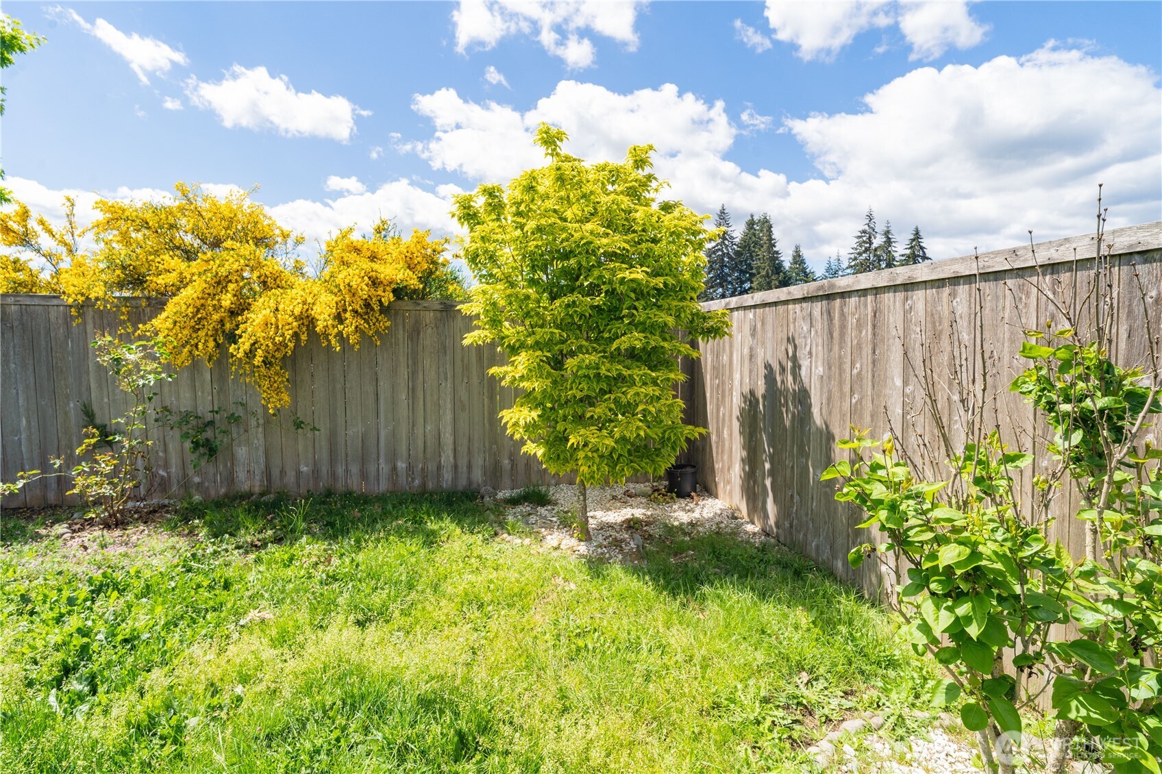 9324 179th Lane SW Rochester WA 98579