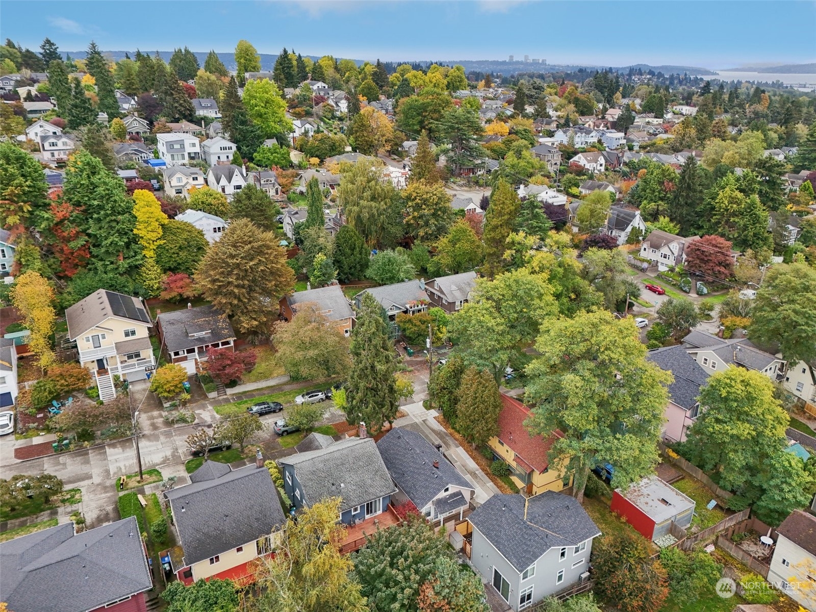6023 28th Avenue NE Seattle WA 98115