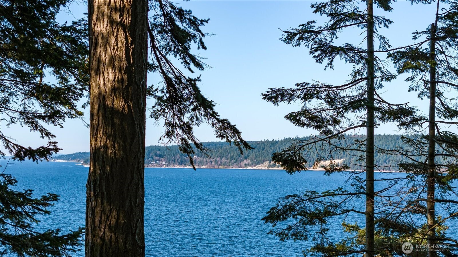 3155 Fox Spit Road Langley WA 98260