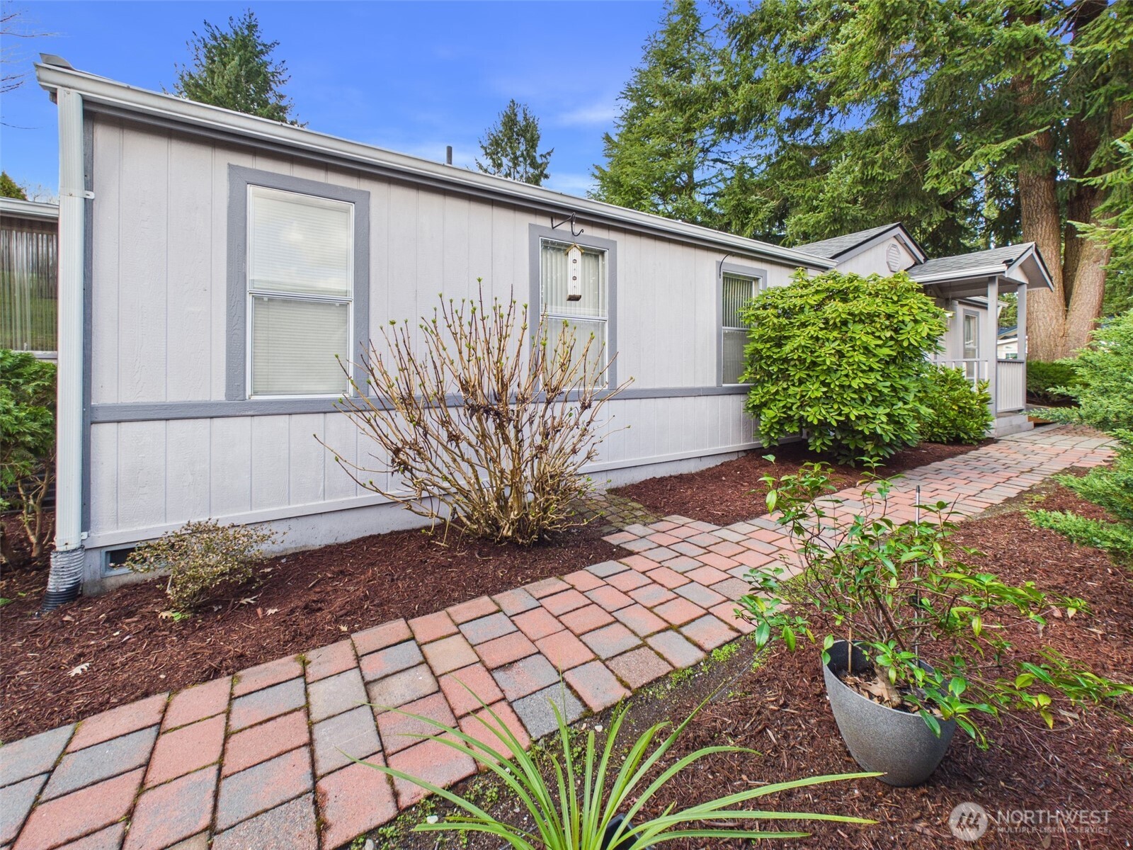 5250 College Street SE Lacey WA 98503