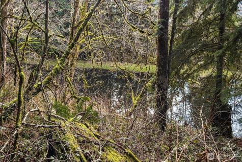 23904 E Lake Kayak Drive Monroe WA 98272