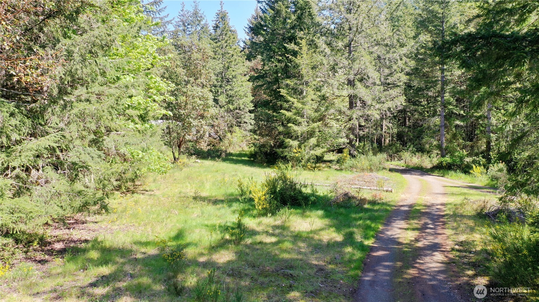 231 E Strong Road Shelton WA 98584