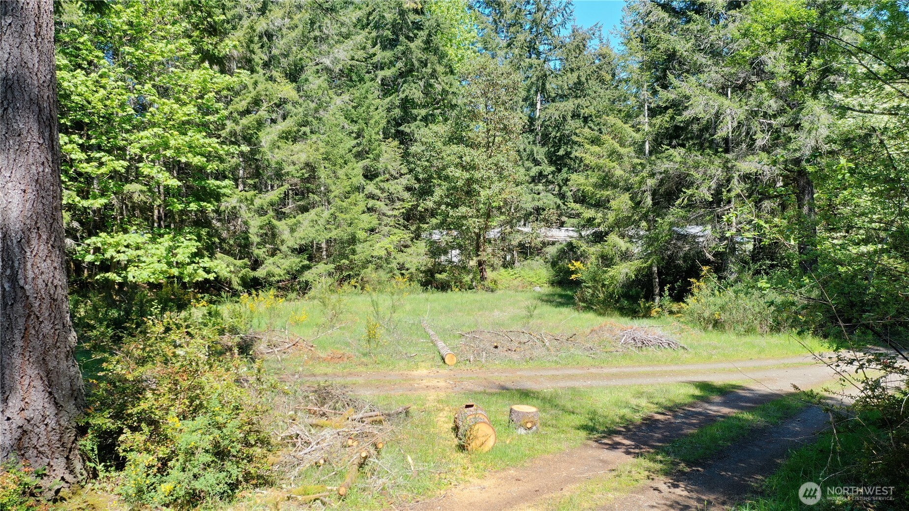 231 E Strong Road Shelton WA 98584