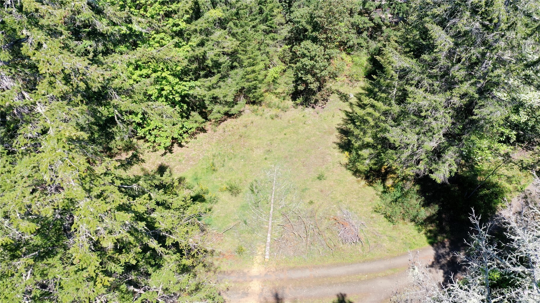 231 E Strong Road Shelton WA 98584