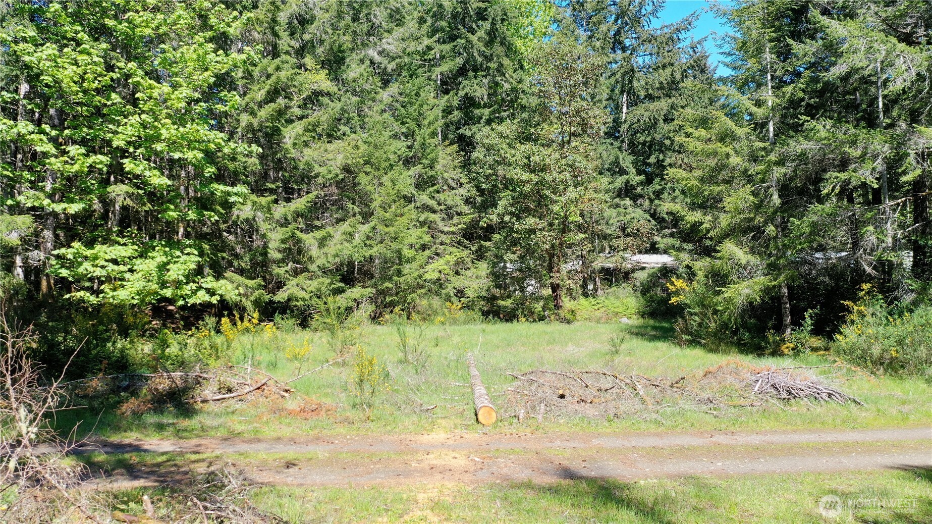 231 E Strong Road Shelton WA 98584