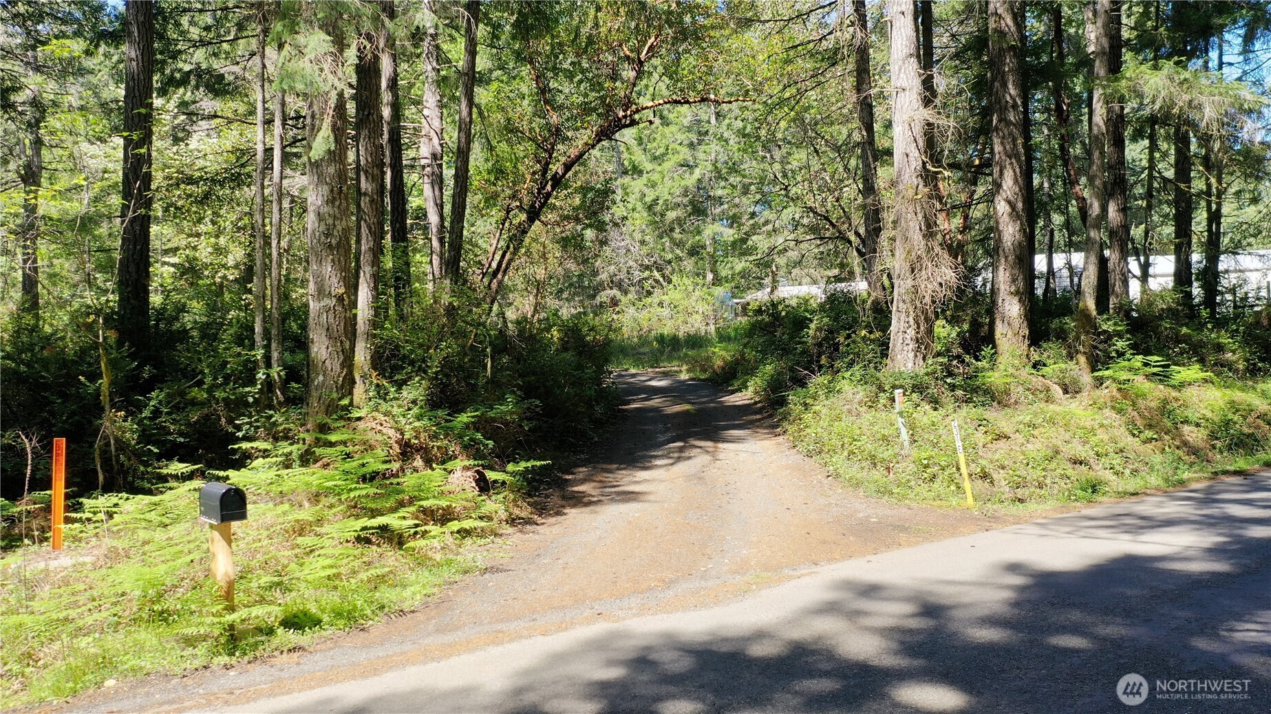 231 E Strong Road Shelton WA 98584