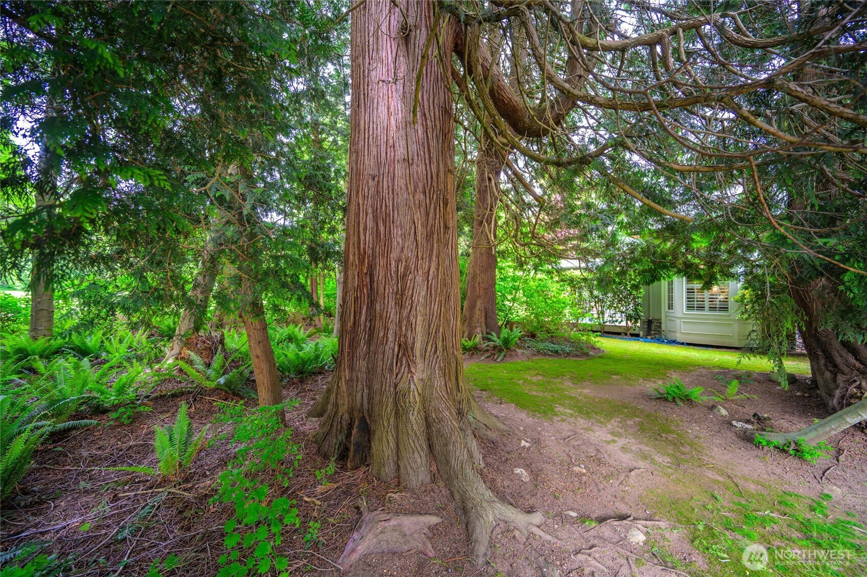 5426 Quail Run Blaine WA 98230