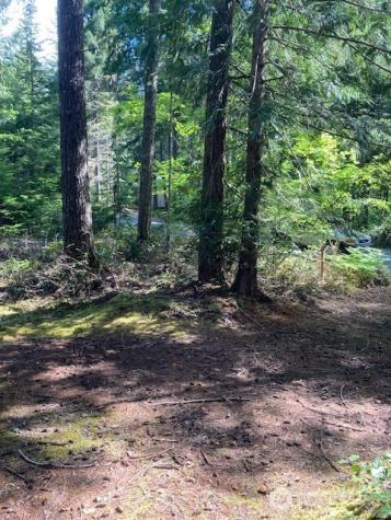 830 N Potlatch Drive Hoodsport WA 98548