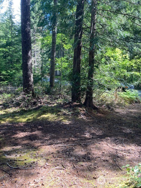 830 N Potlatch Drive Hoodsport WA 98548