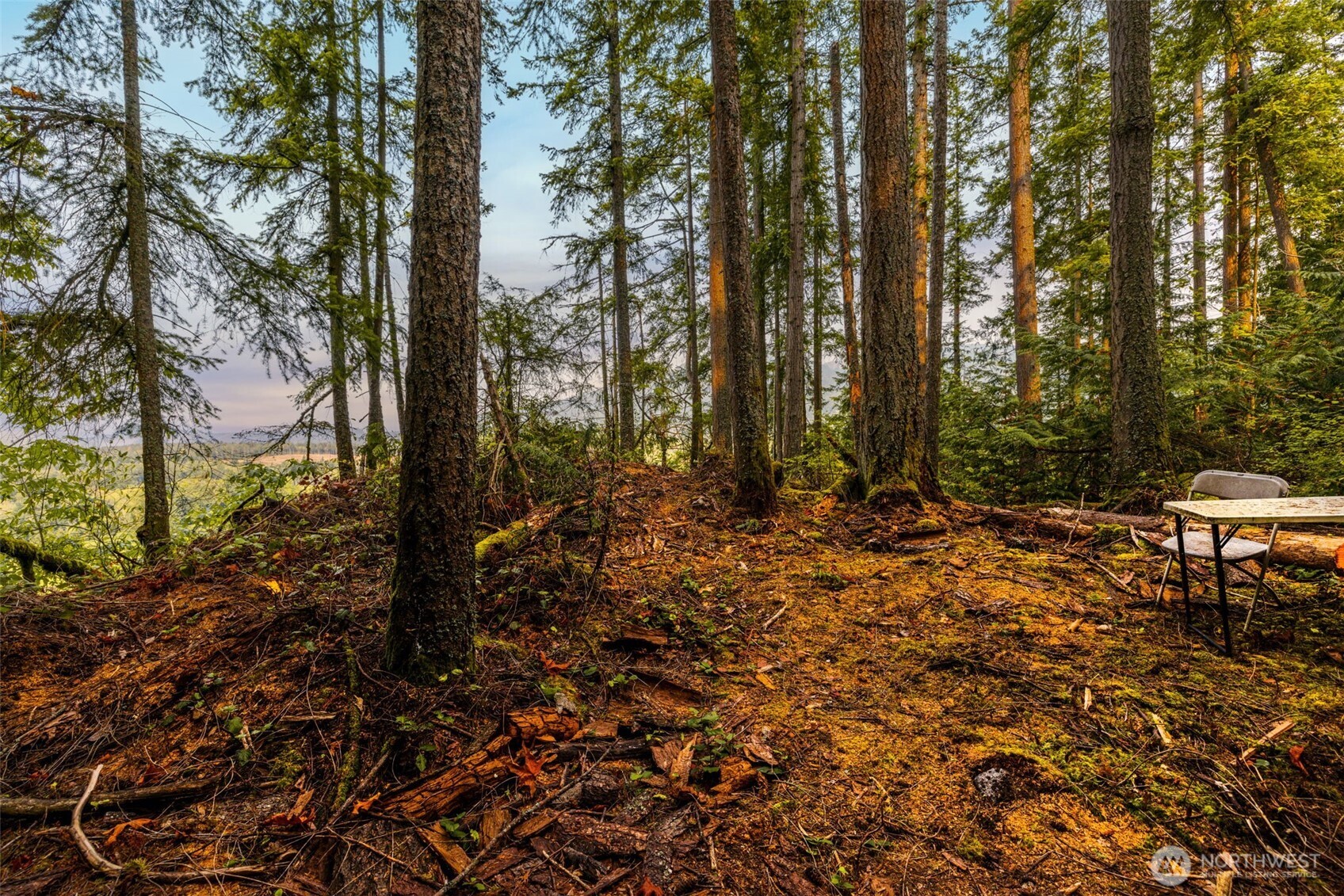 25193 Walker Valley Road Mount Vernon WA 98274