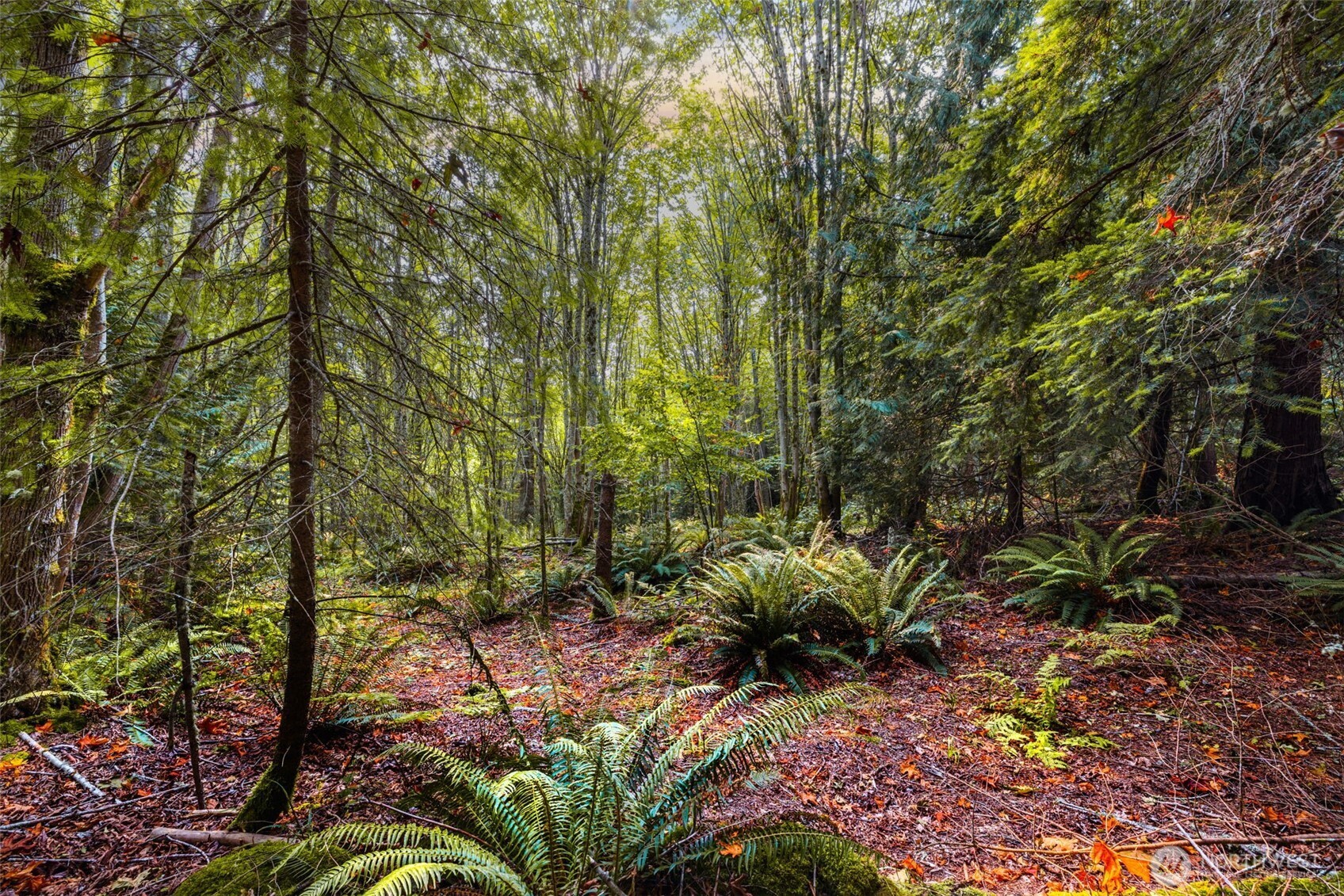 25193 Walker Valley Road Mount Vernon WA 98274