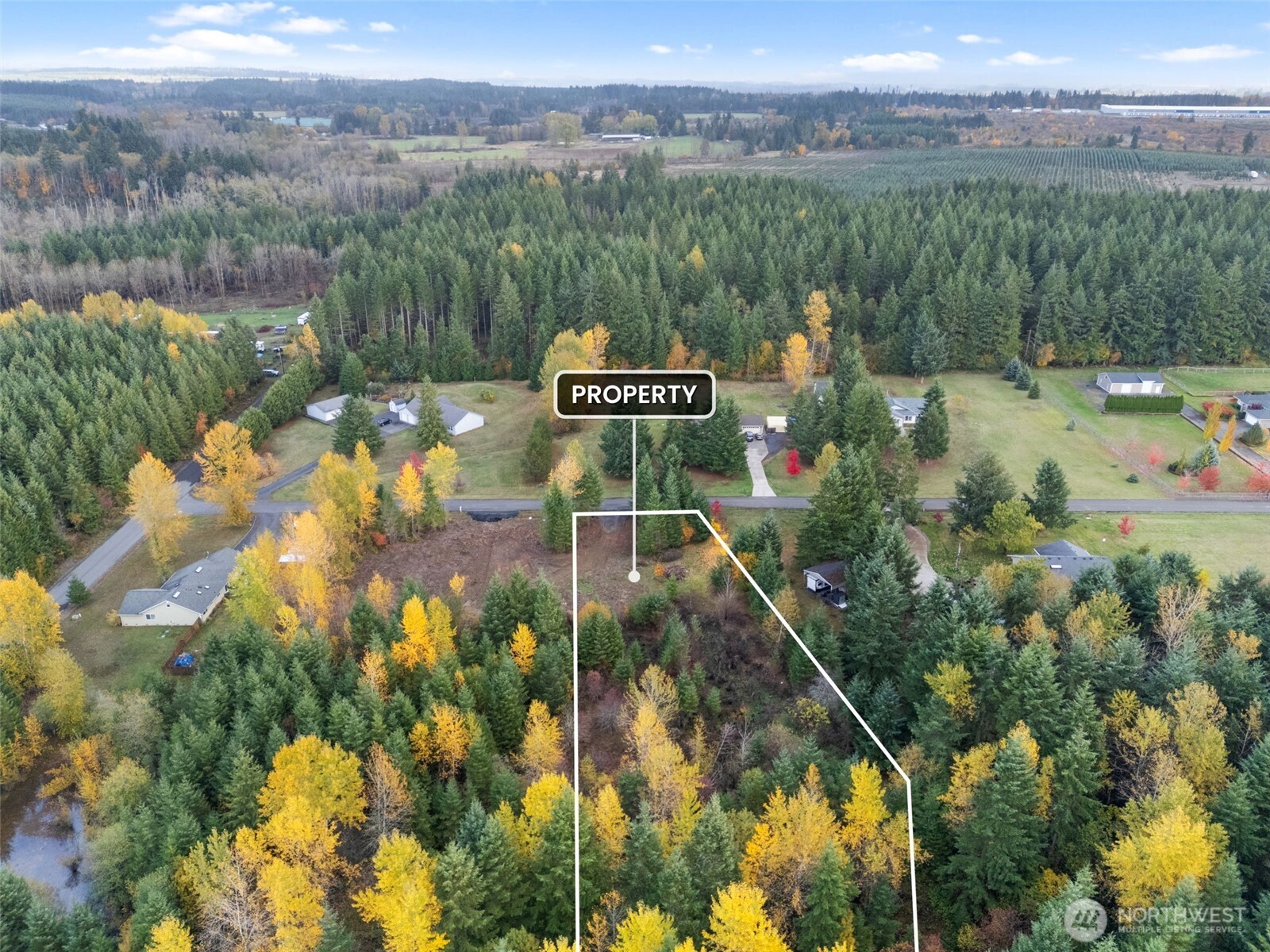 112 Timberline Drive Winlock WA 98596