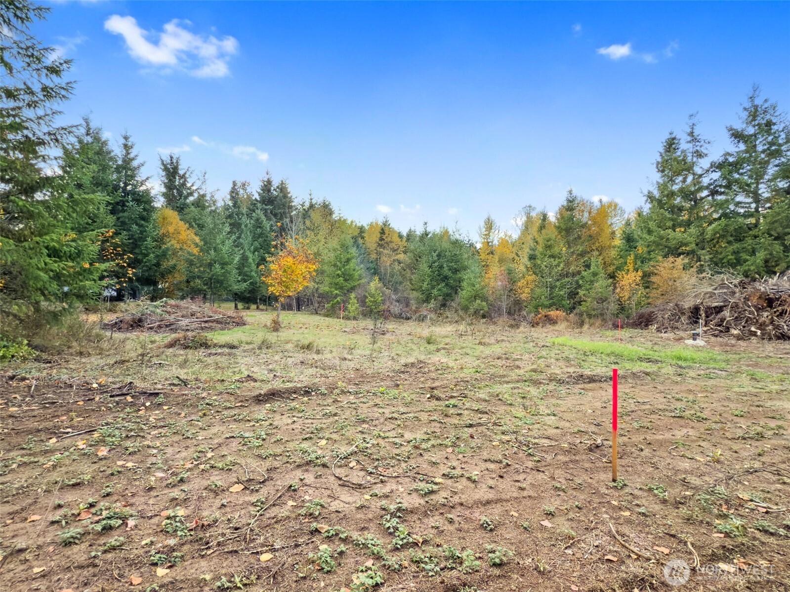 112 Timberline Drive Winlock WA 98596