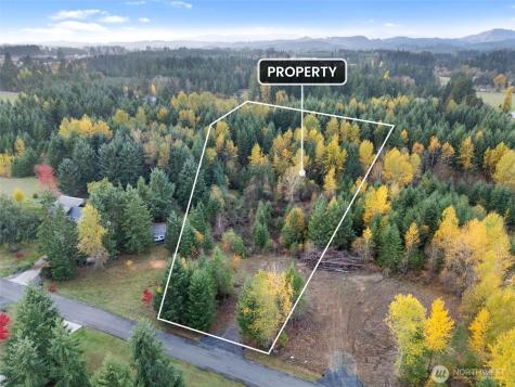 112 Timberline Drive Winlock WA 98596