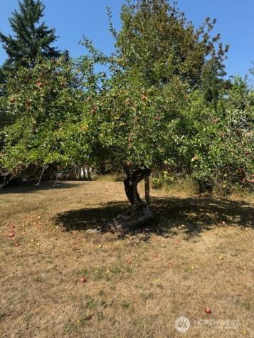 815 1st Avenue NE Napavine WA 98565