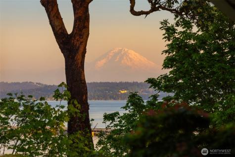 3704 48th Avenue NE Seattle WA 98105