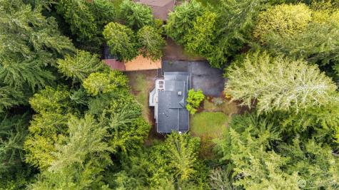 3036 E Ames Lake Drive NE Redmond WA 98053