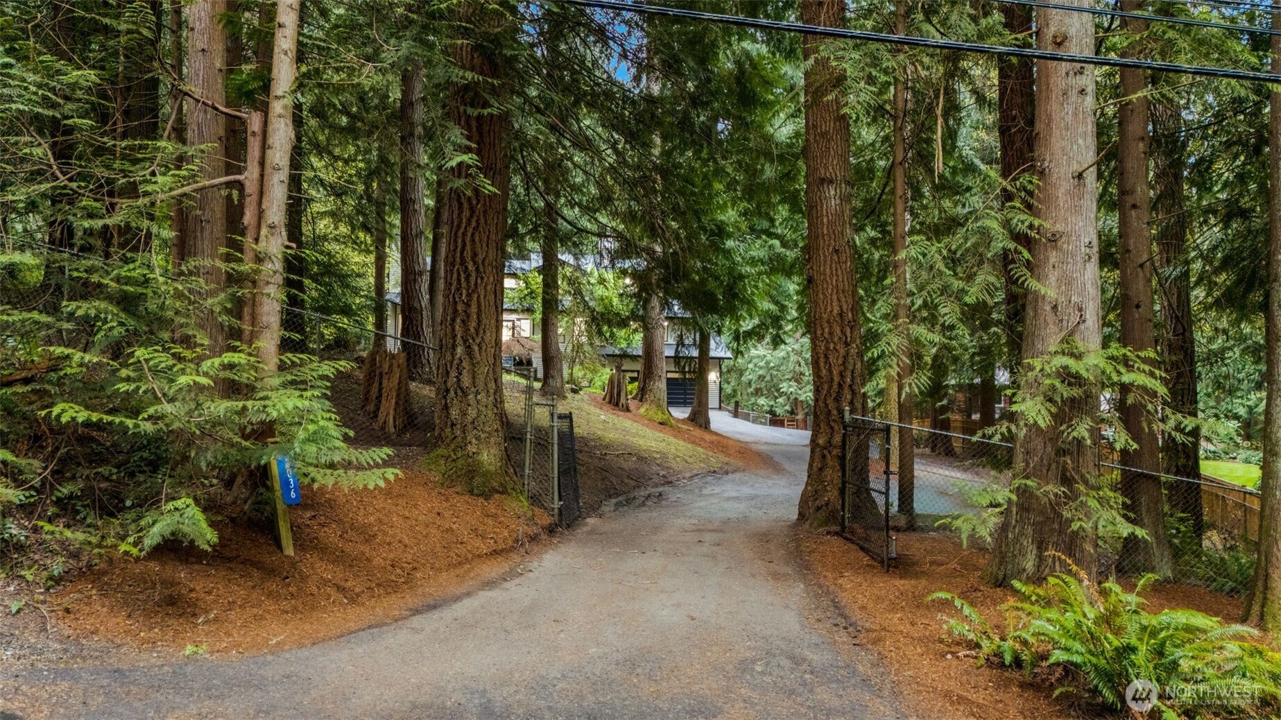 3036 E Ames Lake Drive NE Redmond WA 98053