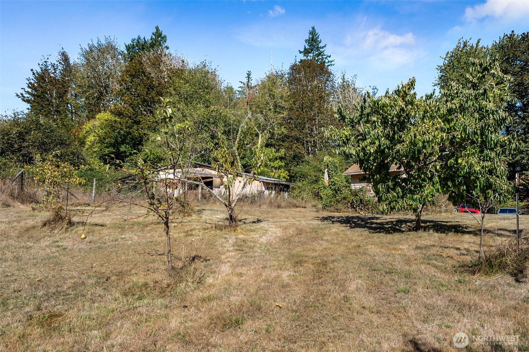 662 Cline Road Randle WA 98377