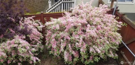 16114 SE Newport Way Bellevue WA 98006