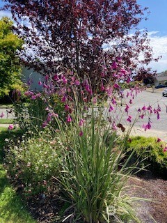 3005 45th Street NE Tacoma WA 98422