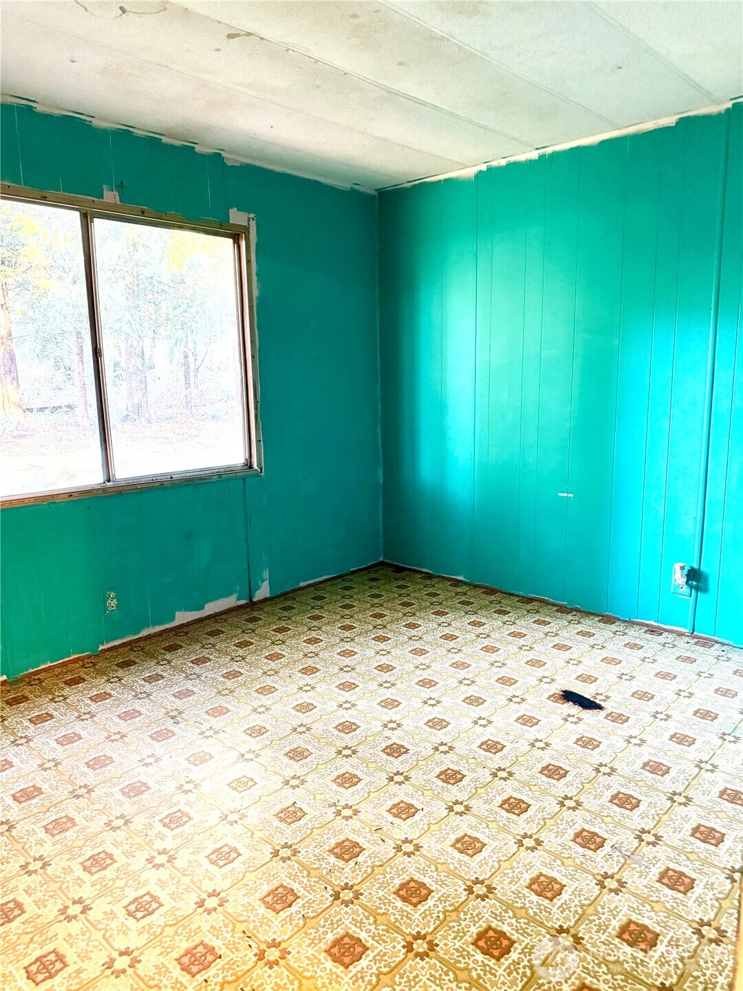 41671 Mountain View Lane Concrete WA 98237
